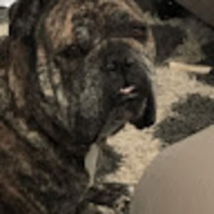 Meet your Posher, Char